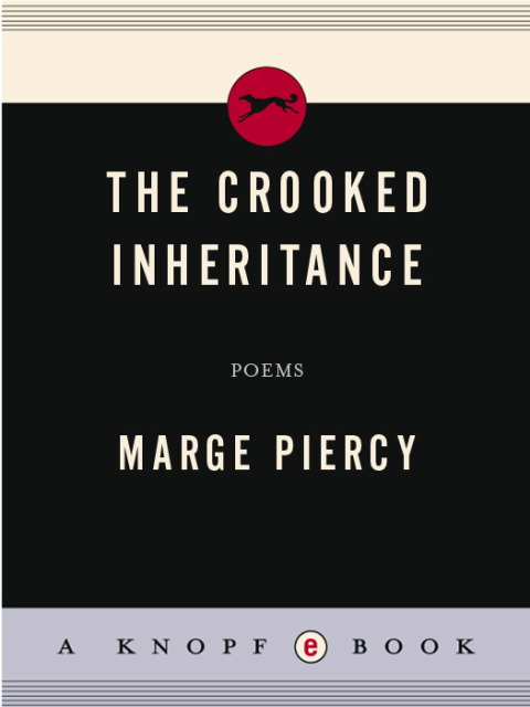 Cover image for book The Crooked Inheritance