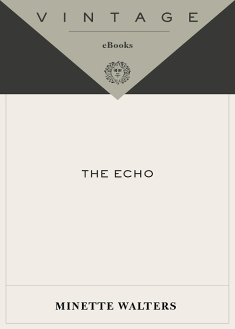 Cover image for book The Echo