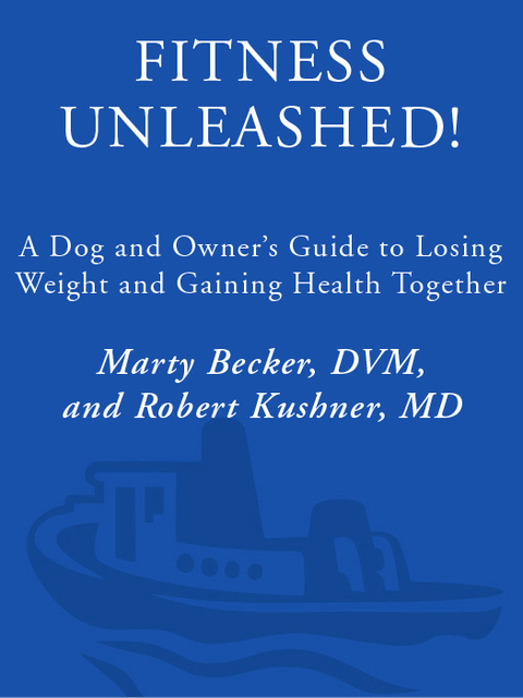 Cover image for book Fitness Unleashed!
