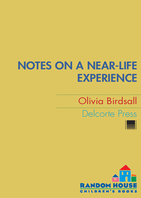 Cover image for book Notes on a Near-Life Experience