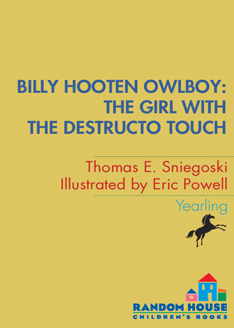 Cover image for book Owlboy: The Girl with the Destructo Touch