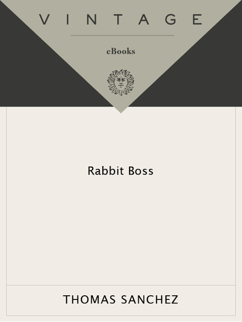 Cover image for book Rabbit Boss