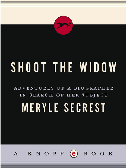 Cover image for book Shoot the Widow