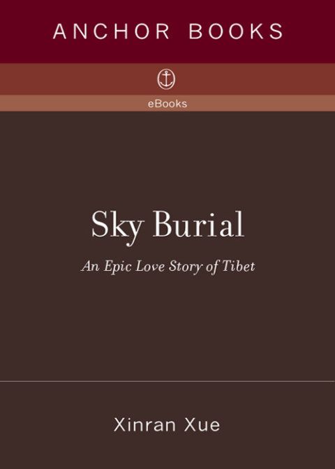 Cover image for book Sky Burial