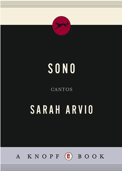 Cover image for book Sono