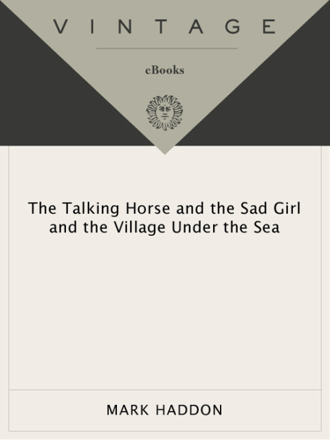 Cover image for book The Talking Horse and the Sad Girl and the Village Under the Sea