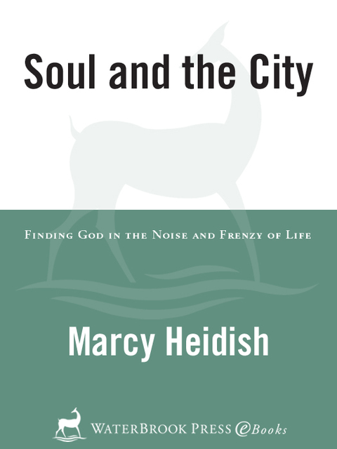 Cover image for book Soul and the City