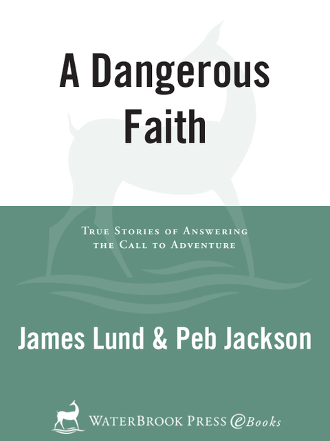 Cover image for book A Dangerous Faith