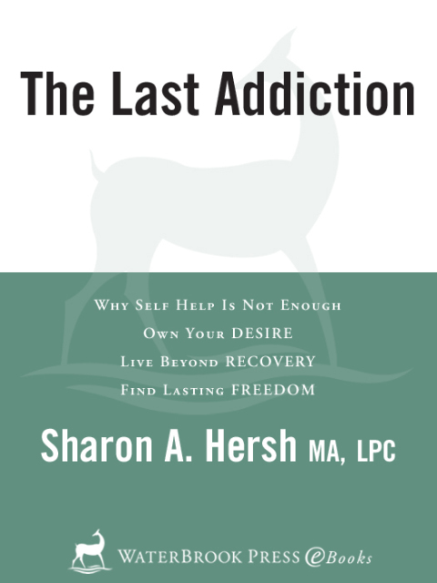 Cover image for book The Last Addiction