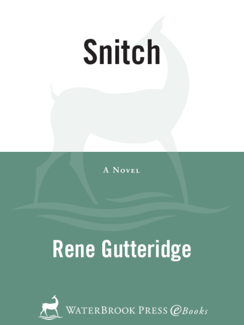 Cover image for book Snitch