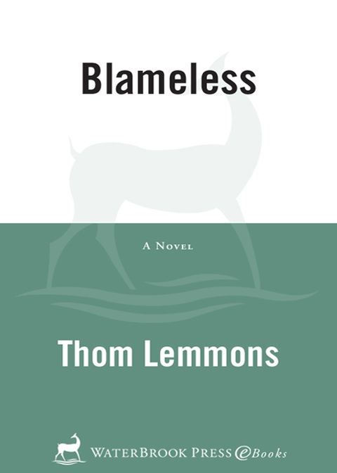 Cover image for book Blameless