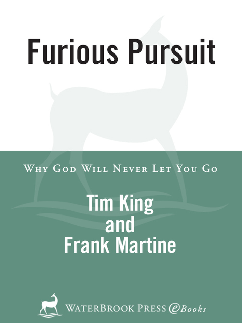 Cover image for book Furious Pursuit