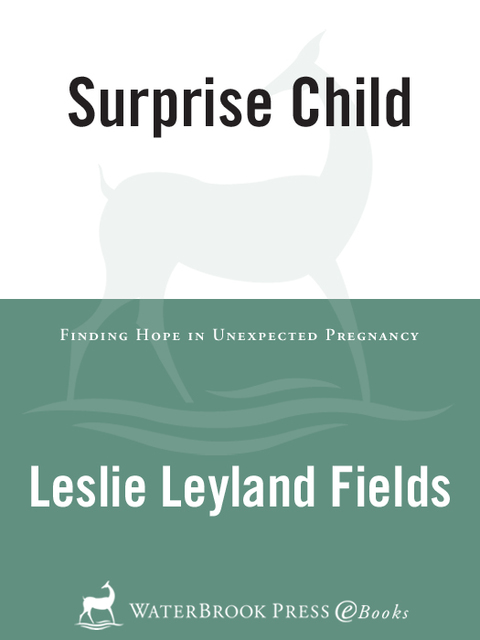 Cover image for book Surprise Child