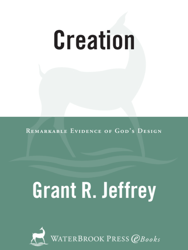 Creation