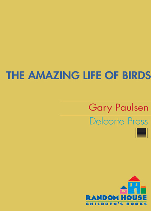 Cover image for book The Amazing Life of Birds