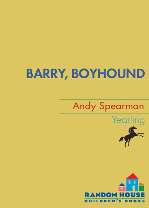 Cover image for book Barry Boyhound