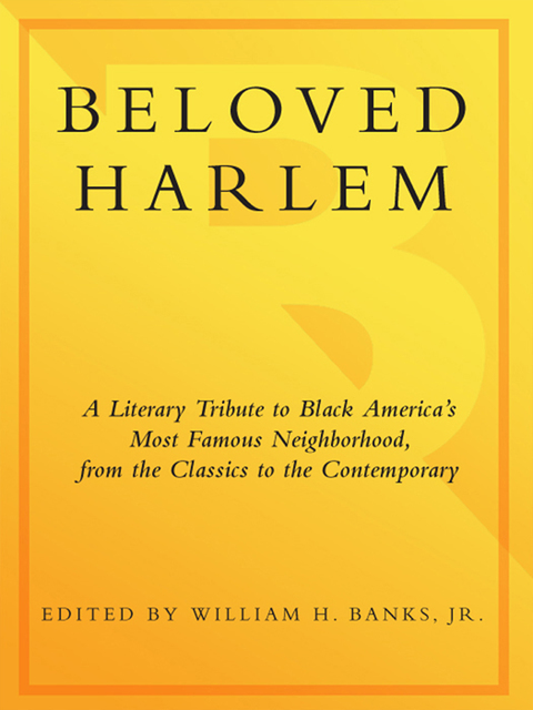Cover image for book Beloved Harlem