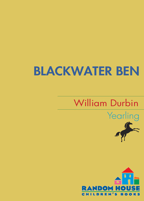 Cover image for book Blackwater Ben