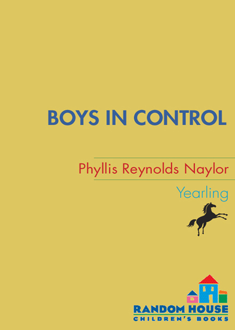 Cover image for book Boys in Control