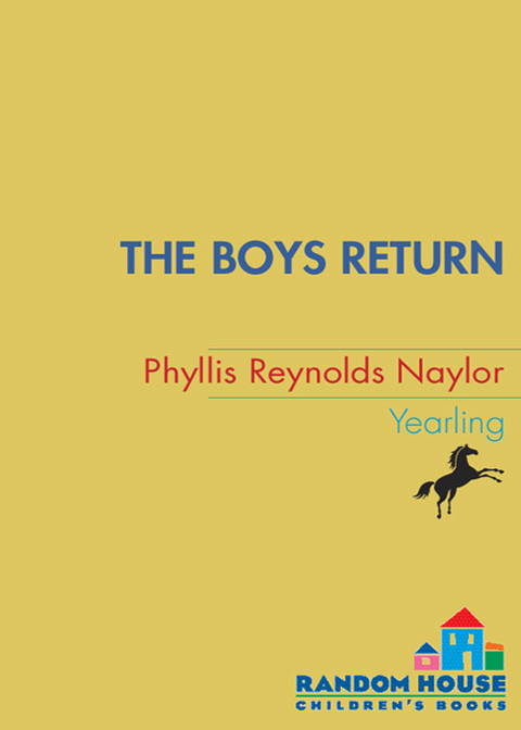 Cover image for book The Boys Return