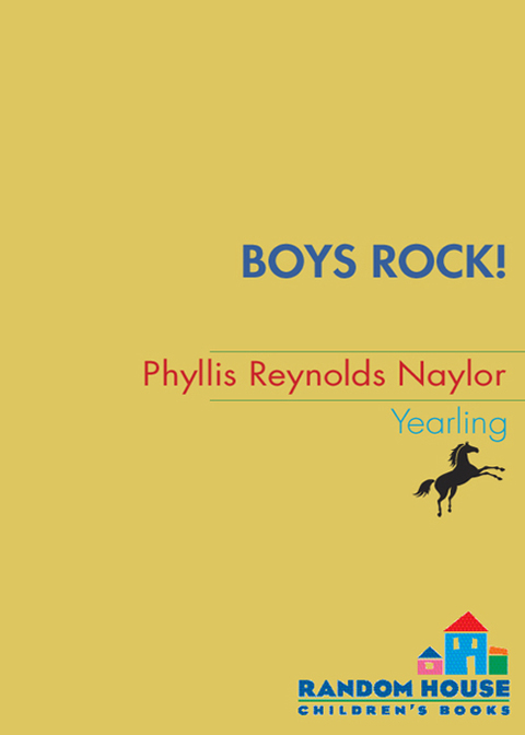 Cover image for book Boys Rock!