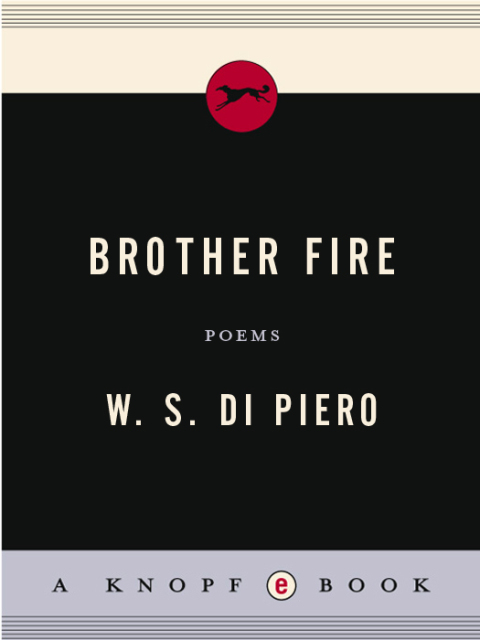 Cover image for book Brother Fire