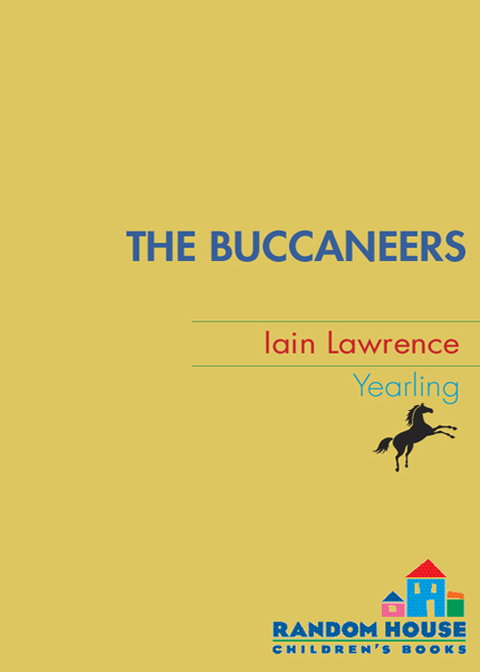 Cover image for book The Buccaneers