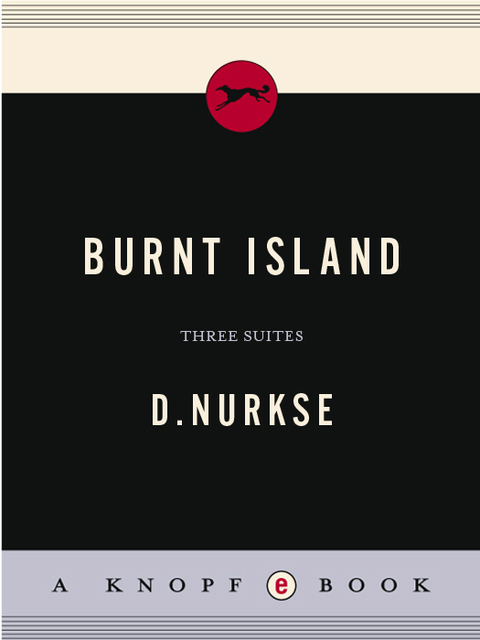 Cover image for book Burnt Island