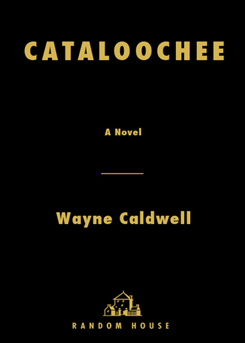 Cover image for book Cataloochee