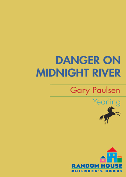 Cover image for book Danger on Midnight River