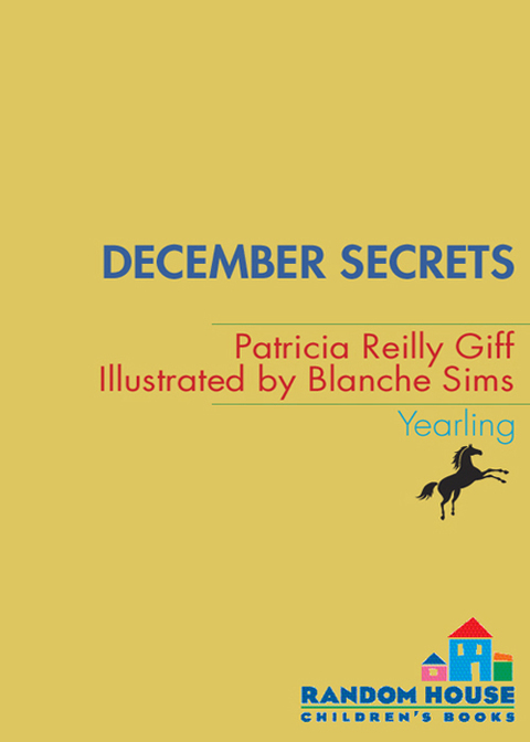 Cover image for book December Secrets