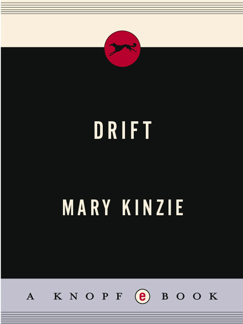 Cover image for book Drift
