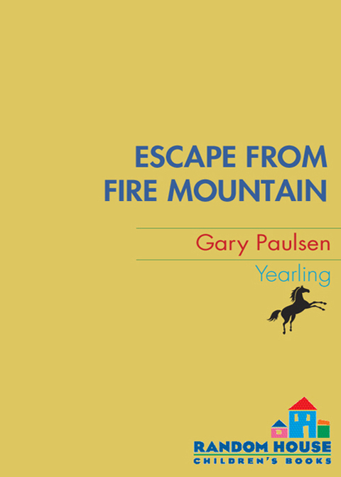 Cover image for book Escape from Fire Mountain