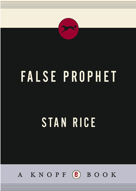 Cover image for book False Prophet