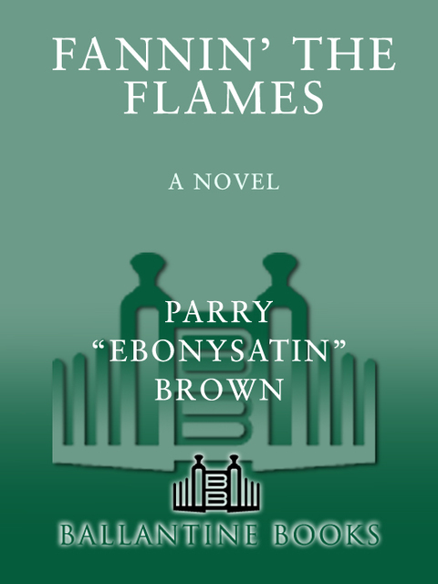 Cover image for book Fannin' the Flames