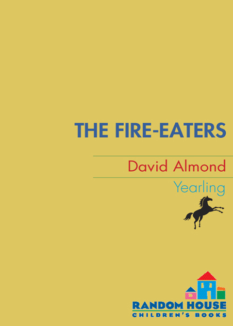 Cover image for book The Fire-Eaters