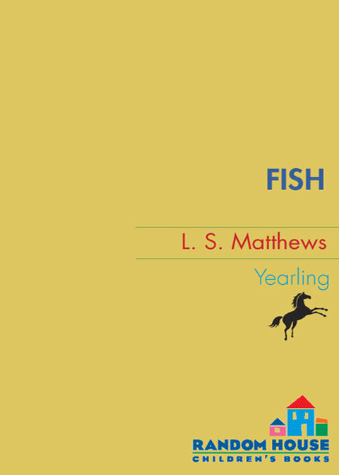 Cover image for book Fish