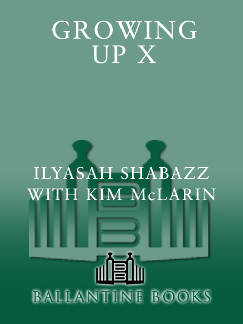 Cover image for book Growing Up X