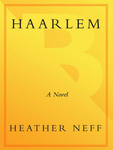 Cover image for book Haarlem