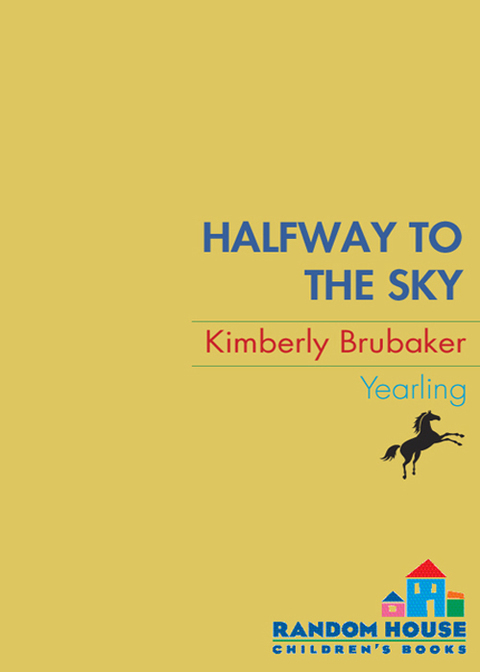 Cover image for book Halfway to the Sky
