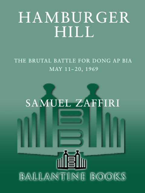 Cover image for book Hamburger Hill