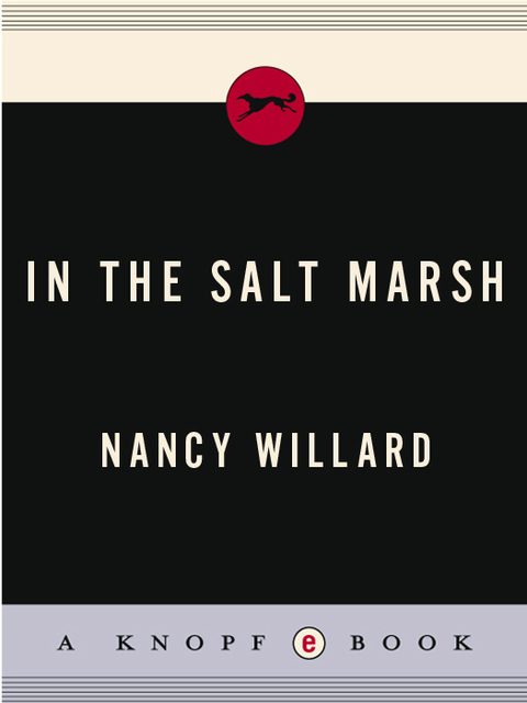 Cover image for book In the Salt Marsh