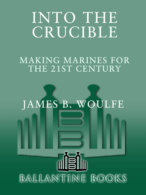 Cover image for book Into the Crucible