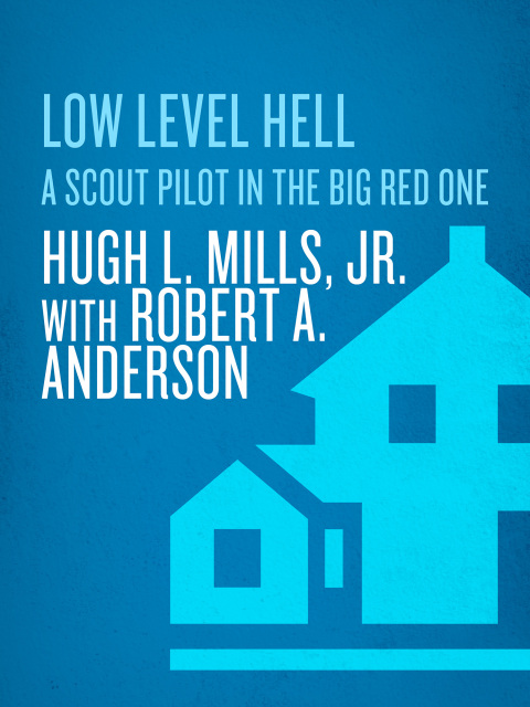 Cover image for book Low Level Hell