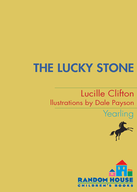 Cover image for book The Lucky Stone