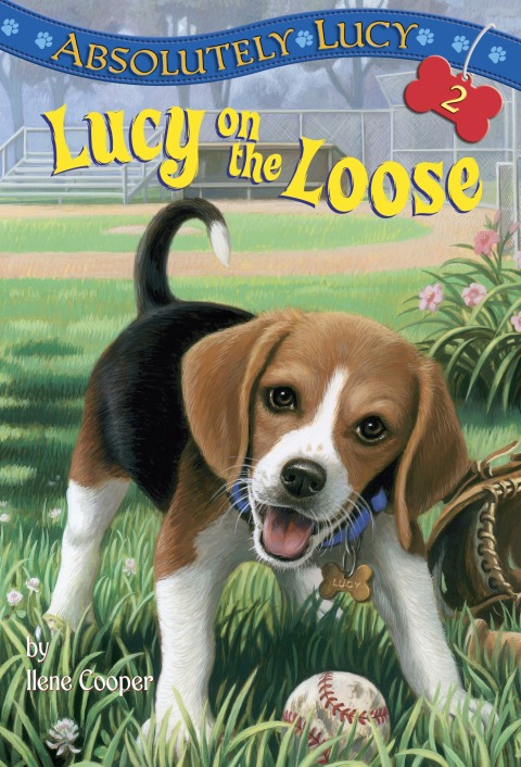 Cover image for book Absolutely Lucy #2: Lucy on the Loose