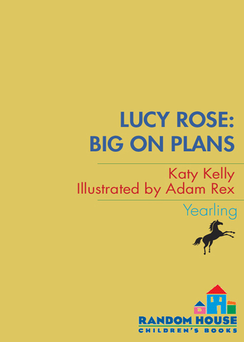 Cover image for book Lucy Rose: Big on Plans