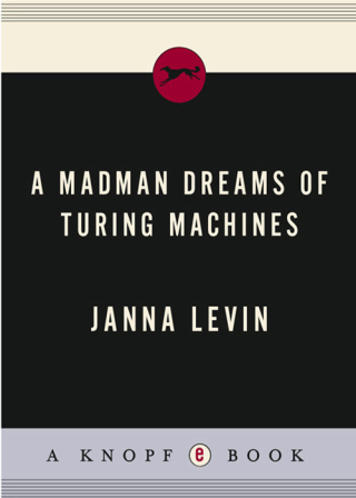 A Madman Dreams of Turing Machines