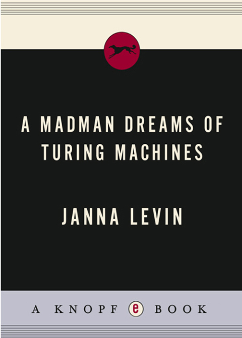 Cover image for book A Madman Dreams of Turing Machines
