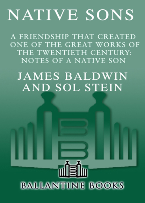 Cover image for book Native Sons